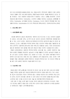 [마케팅] 파란닷컴 기업분석-3