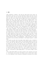 [저작권] 저작권 환경의 변화에 따른 저작권 침해와 향후 대응-2