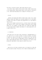 [국제경영] 안철수 연구소 해외진출-10