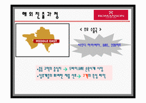 [국제경영] 로만손 해외진출사례-7