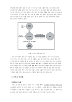 [서비스마케팅] 서비스산업에서의 PPL 마케팅-7