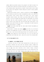 [서비스마케팅] 서비스산업에서의 PPL 마케팅-12