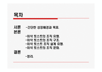 [조직이론] 이삭 토스트 조직 연구-2