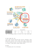 [국제경영] 유한킴벌리 중국진출사례-12
