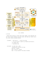 [인적자원관리] 국민은행의 아웃플레이스먼트 사례분석과 그 적용-10