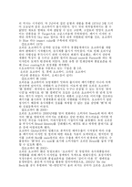[국제경영] 오리온 초코파이의 해외진출 -`중국` 진출 사례를 중심으로-7