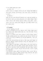 [국제경영] 오리온 초코파이의 해외진출 -`중국` 진출 사례를 중심으로-20