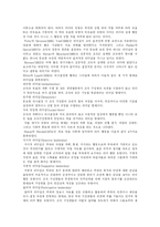 [리더십] 리더십의 상황적 접근 이론과 미래 리더십 패러다임 분석-4