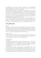 [회계제도개혁] 영국의 정부회계제도 개혁 사례의 우리나라에 대한 시사점과 향후 발전 과제-8