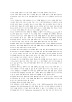 [회계개혁] 외국의 회계개혁 사례를 통해 본 우리나라 회계개혁 이론과 성과 평가-4