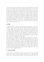 [저작권] 저작권 보호를 위한 방안과 저작권법 고찰(소리바다와 MP3, 음반시장 사례)-5