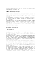 [정부회계] 정부회계의 특징과 문제점 및 향후 정부회계시스템 방안 분석-5