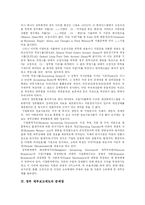 [정부회계] 정부회계의 특징과 문제점 및 향후 정부회계시스템 방안 분석-12
