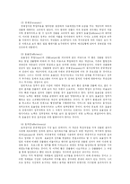 [정부회계] 정부회계의 특징과 문제점 및 향후 정부회계시스템 방안 분석-17