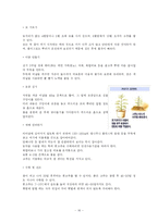 [특별활동] 봉사 활동의 이론과 실제-16