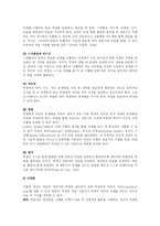 [교수학습방법론] 인지적 도제-11