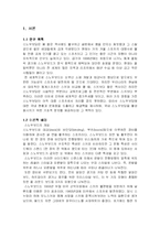 스노우보드 활성화 방안-3