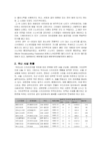 스노우보드 활성화 방안-4