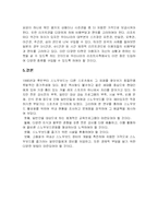 스노우보드 활성화 방안-8
