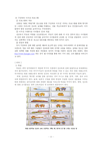 청소년의 성문제와 성교육-12