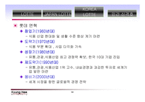 롯데 기업분석 레포트-14