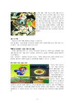 [국제경영] 지적재산권-4