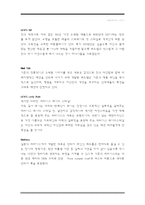 [패션유통] 청바지 시장 분석-5