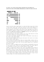 [국제경영] 삼성반도체-4