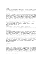 [국제마케팅] 후터스 마케팅전략-8