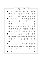 [스포츠마케팅] 이스포츠 e-sports의 현 상황과 발전방향-2