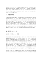 [행정학] 일본의 시정촌(市町村)합병과 지방자치-2