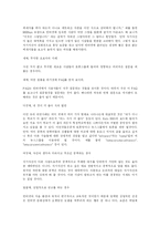 [사이버윤리] 인터넷상에서의 네티켓과 사이버윤리 및 정보통신윤리-8