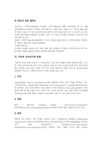 [전자상거래(EC)] 전자상거래(EC)의 특징, 동향과 역기능 및 전자상거래(EC) 성공조건 분석-9