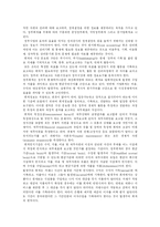 [정부회계개혁] 정부회계개혁 심층 분석(외국 사례 중심)-3