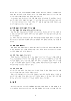 [중국산업] 중국의 짝퉁 산업이 우리나라 경제에 미치는 영향-4