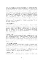 [인터넷] 인터넷 공유프로그램이 미치는 영향 과 나아갈 방향-3