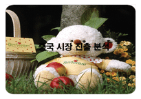 [국제경영] 오로라월드(주)의 해외시장 진출-13