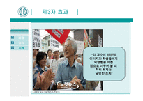 2단계 유통이론, 제3자 효과이론-17