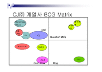 [재무관리] CJ 주식가치 평가-5