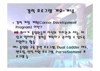 [인사관리] CDP 조사-3