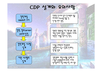 [인사관리] CDP 조사-7