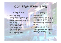 [인사관리] CDP 조사-8