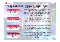 [인사관리] CDP 조사-9