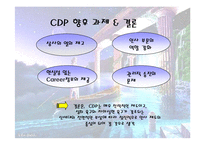 [인사관리] CDP 조사-16
