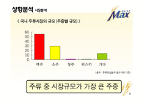 [광고기획서] 프라임 `맥스`맥주 선호도 향상을 위한 광고커뮤니케이션전략안-5
