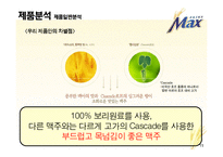 [광고기획서] 프라임 `맥스`맥주 선호도 향상을 위한 광고커뮤니케이션전략안-11