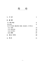 [인적자원관리] 반도체산업의 인적자원관리 분야 비교, 분석 -인텔, 삼성전자, 디지웍스의 채용선발을 중심으로-3