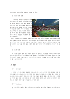 [경영학] 프로축구 부산 아이파크 분석-5