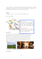 [세계관광지리학] 프랑스의 관광 상품의 현황 및 문제점-4