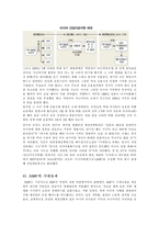 아시아통화기금(AMF)-5